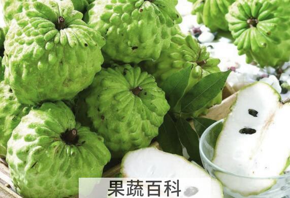 番荔枝哪些人不能吃 番荔枝的食用禁忌