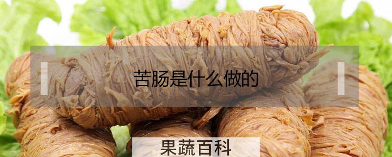苦肠是什么做的