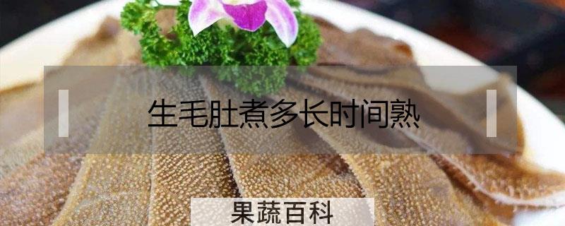 生毛肚煮多长时间熟