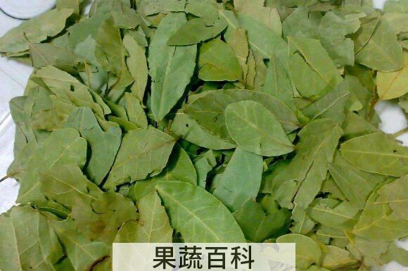 香叶的功效与作用 香叶怎么吃