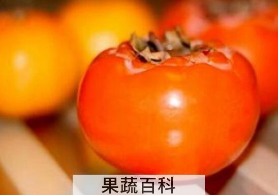 柿子和什么不能一起吃 柿子的食用禁忌