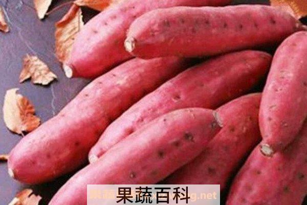 红薯糖