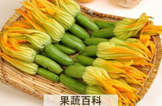 南瓜花的功效与作用及禁忌