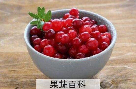 蔓越莓的功效与禁忌 蔓越莓哪些人不能吃