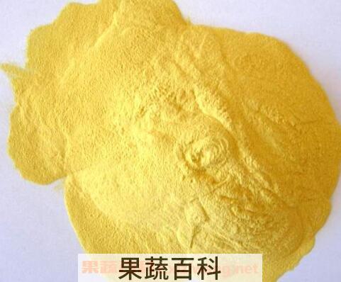 黑松花粉