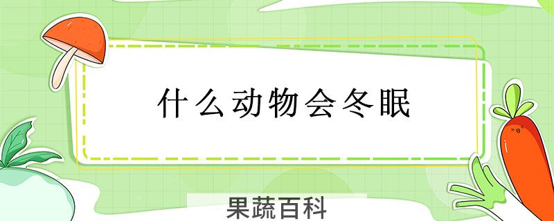 什么动物会冬眠