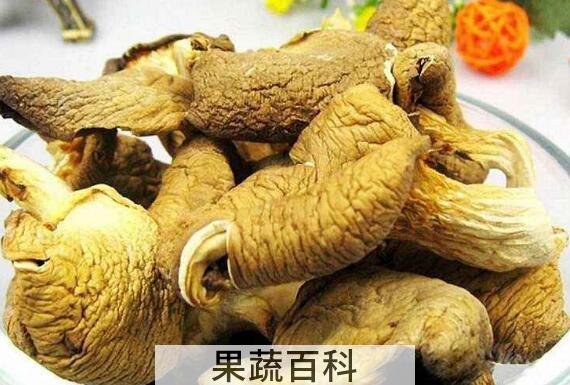 元蘑的功效与作用 元蘑的禁忌有哪些