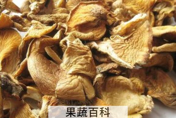 元蘑的功效与作用 元蘑的禁忌有哪些
