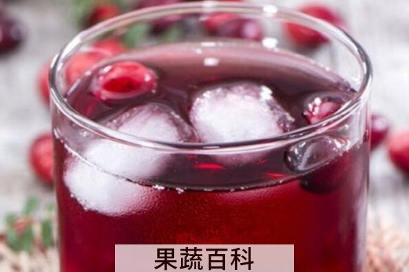 五味子茶怎么做 五味子茶的正确做法