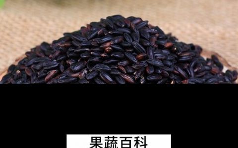 紫米的保健功效 吃紫米的好处