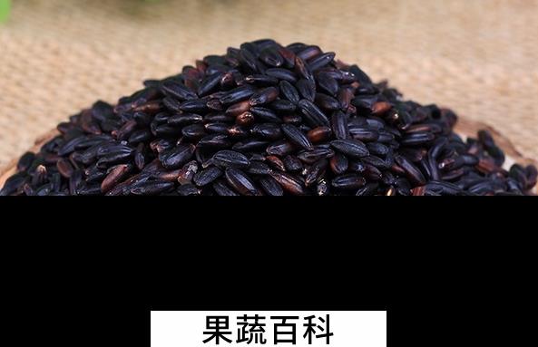 果蔬百科紫米的保健功效