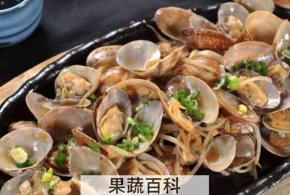 文蛤怎么吃 文蛤的食用方法