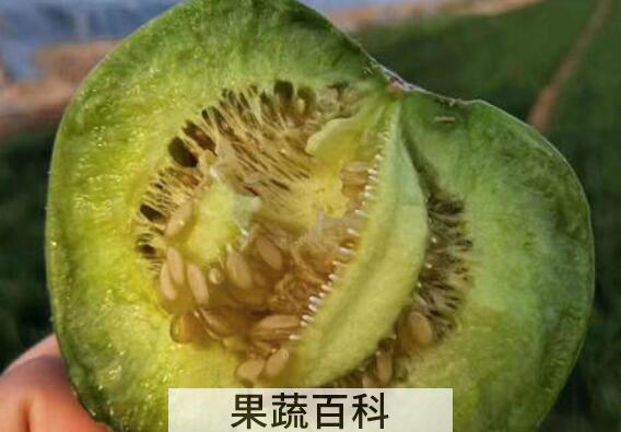 绿宝石瓜怎么吃 绿宝石瓜的食用方法