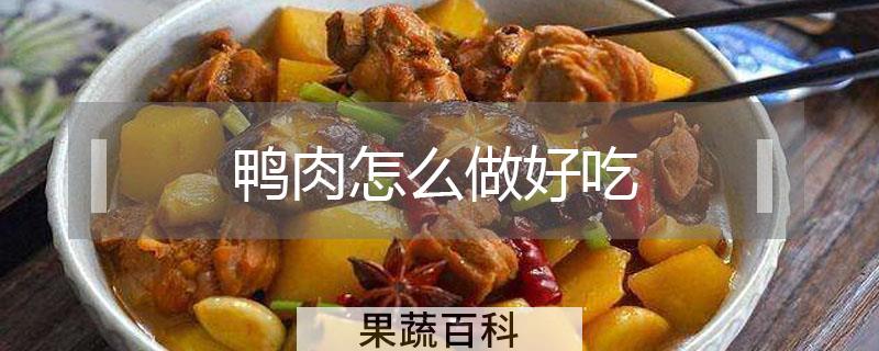 鸭肉怎么做好吃
