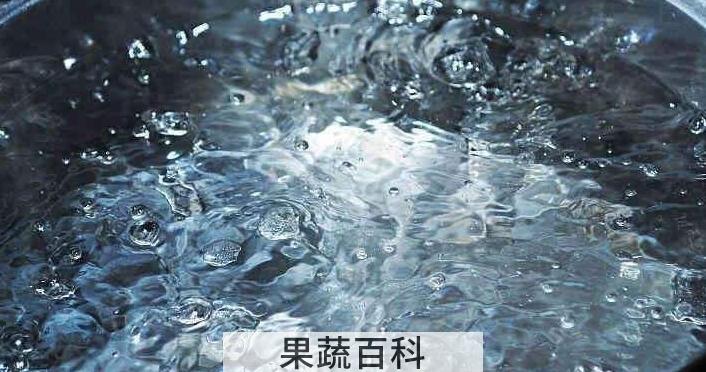 苦丁茶属于什么茶