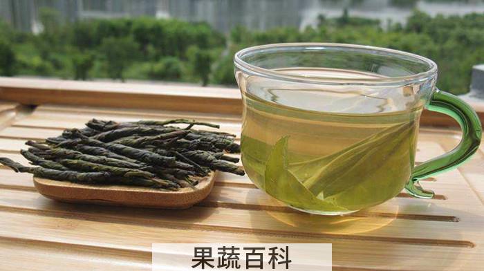苦丁茶属于什么茶