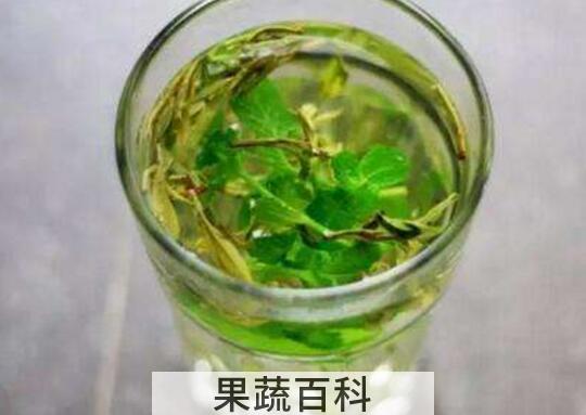 薄荷绿茶如何做 薄荷绿茶的做法窍门