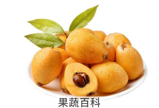 枇杷果是热性还是凉性 吃枇杷果的好处与坏处