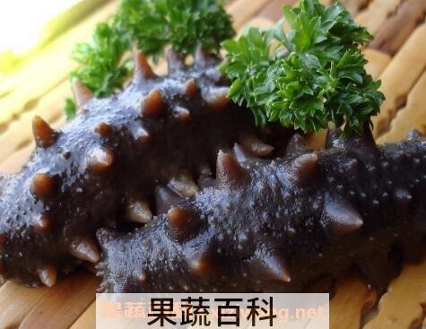 海参怎么吃 海参的简单最佳吃法
