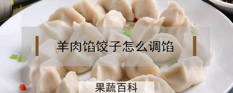 羊肉馅饺子怎么调馅