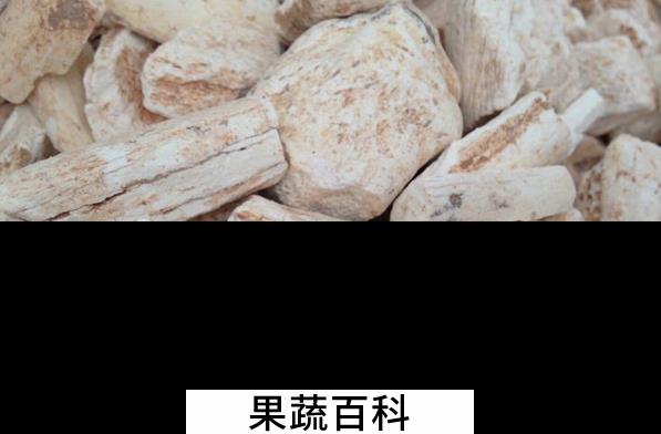 果蔬百科龙齿的功效与作用