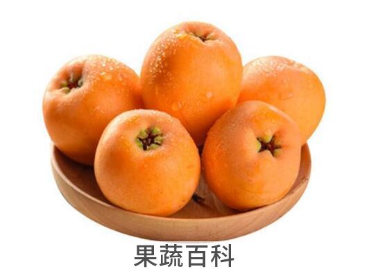 枇杷果怎么吃效果最好