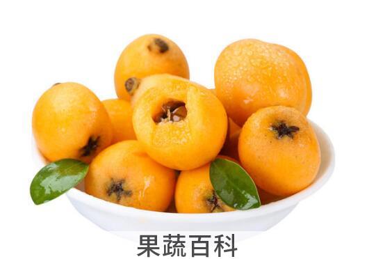 枇杷果怎么吃效果最好
