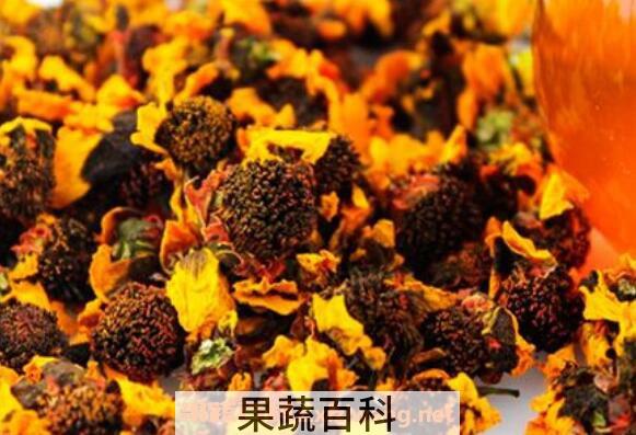 昆仑雪菊的功效与作用 新疆雪菊的功效与作用