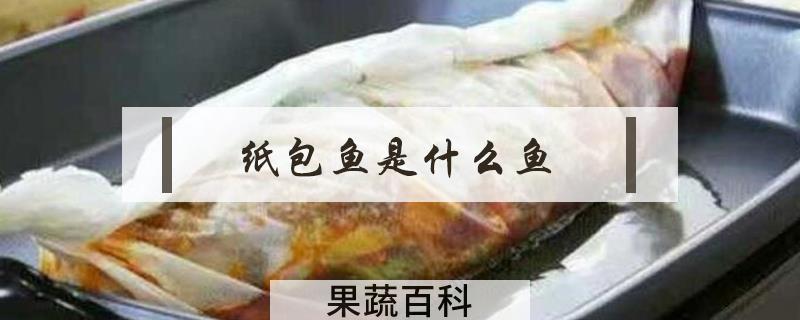 纸包鱼是什么鱼