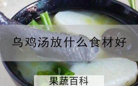 乌鸡汤放什么食材好