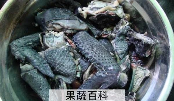 乌鸡汤怎么炖好喝又营养