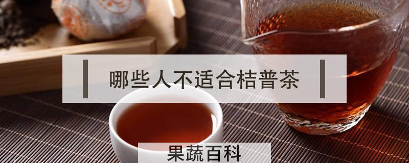 哪些人不适合桔普茶