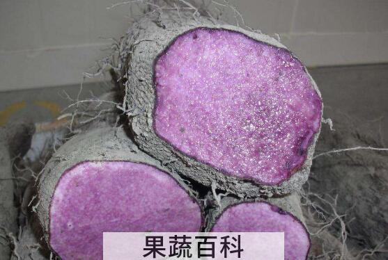 紫大薯的功效与作用