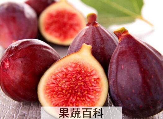 5种人不能吃无花果 吃无花果的禁忌有哪些