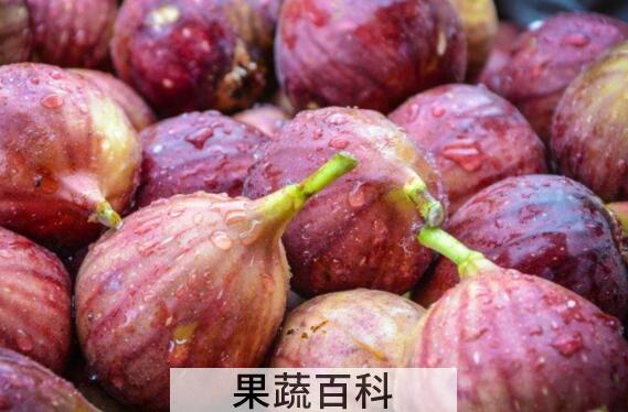 5种人不能吃无花果 吃无花果的禁忌有哪些