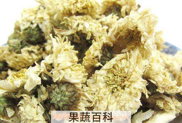 贡菊的功效与作用