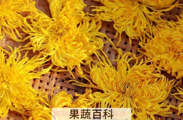 金丝皇菊的功效与作用及禁忌