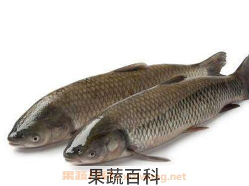 草鱼的营养价值及功效