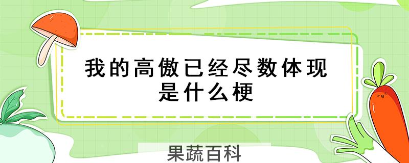 我的高傲已经尽数体现是什么梗
