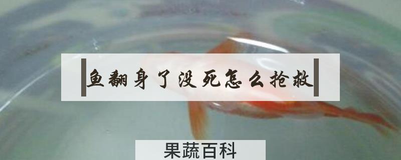 鱼翻身了没死怎么抢救