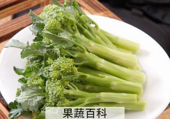 西兰苔和西兰花的区别 西兰苔的吃法
