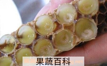 蜂王浆