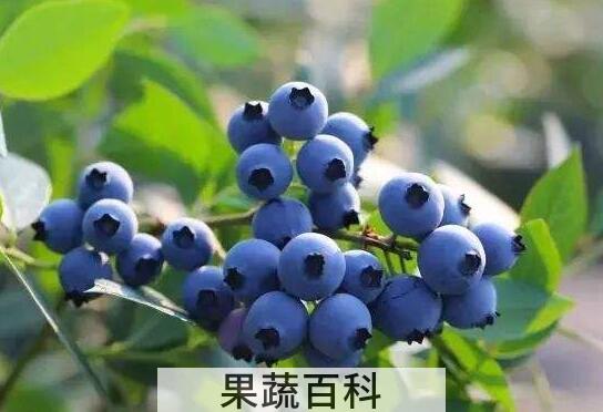 4大壮阳水果 这一种壮阳水果我们经常吃