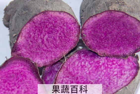紫山药怎么吃 紫山药的食用方法