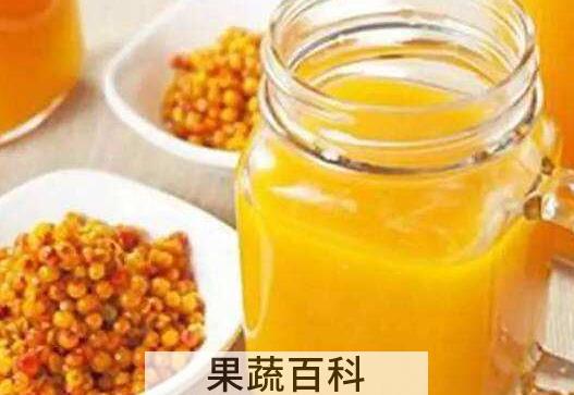沙棘汁的功效与作用 坚持喝沙棘汁的好处