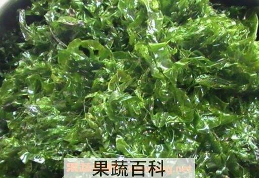 海带和海菜有什么区别