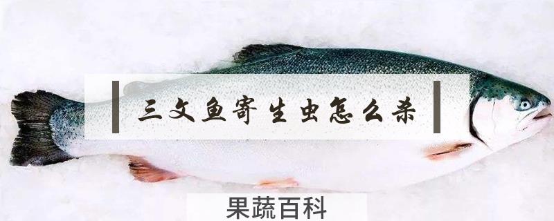 三文鱼寄生虫怎么杀