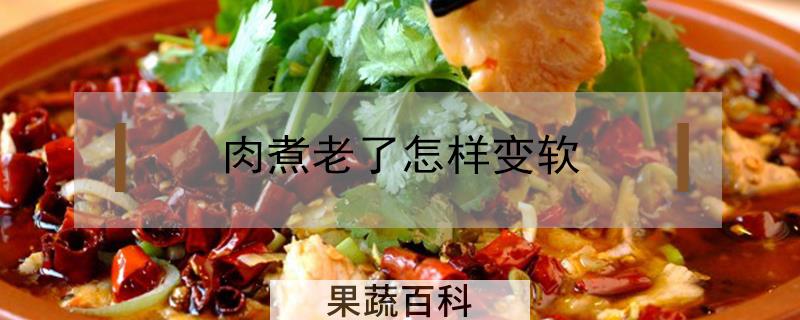 肉煮老了怎样变软