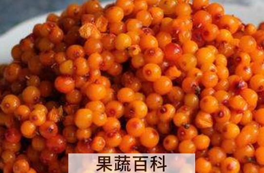 沙棘果对女人功效与作用