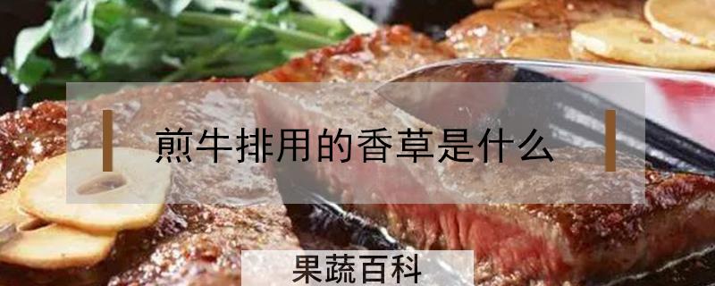 煎牛排用的香草是什么
